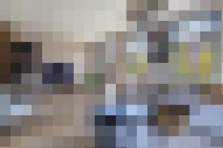 Het Baken 5 Kraggenburg thumbnail 21