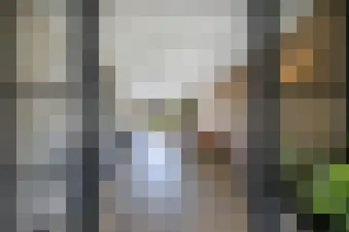 Het Baken 5 Kraggenburg thumbnail 22