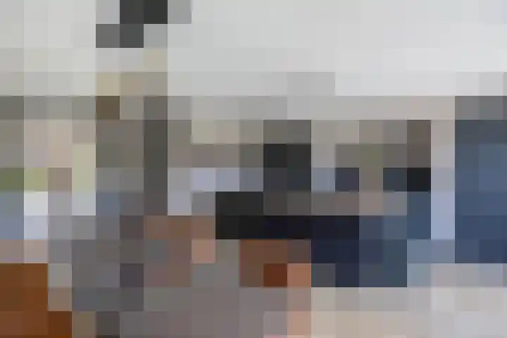 Het Baken 5 Kraggenburg thumbnail 25