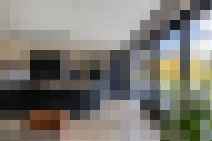 Het Baken 5 Kraggenburg thumbnail 26