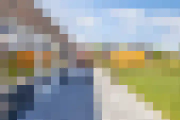 Het Baken 5 Kraggenburg thumbnail 32