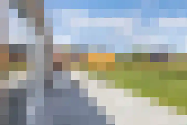 Het Baken 5 Kraggenburg thumbnail 33