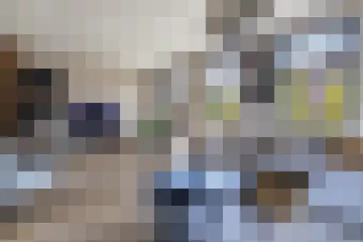Het Baken 5 Kraggenburg thumbnail 4