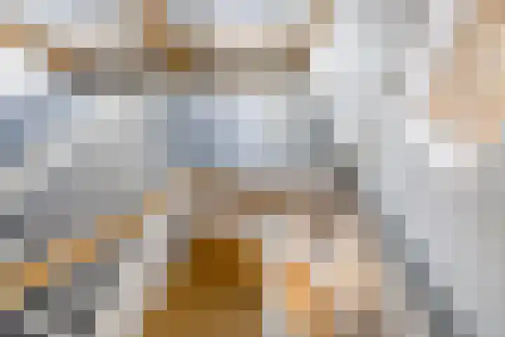 Het Baken 5 Kraggenburg thumbnail 51