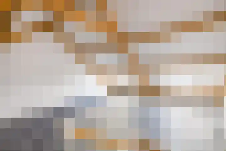 Het Baken 5 Kraggenburg thumbnail 52