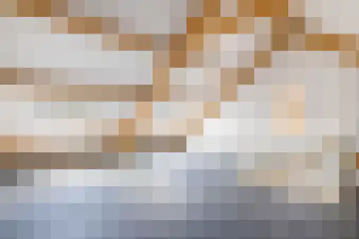 Het Baken 5 Kraggenburg thumbnail 54