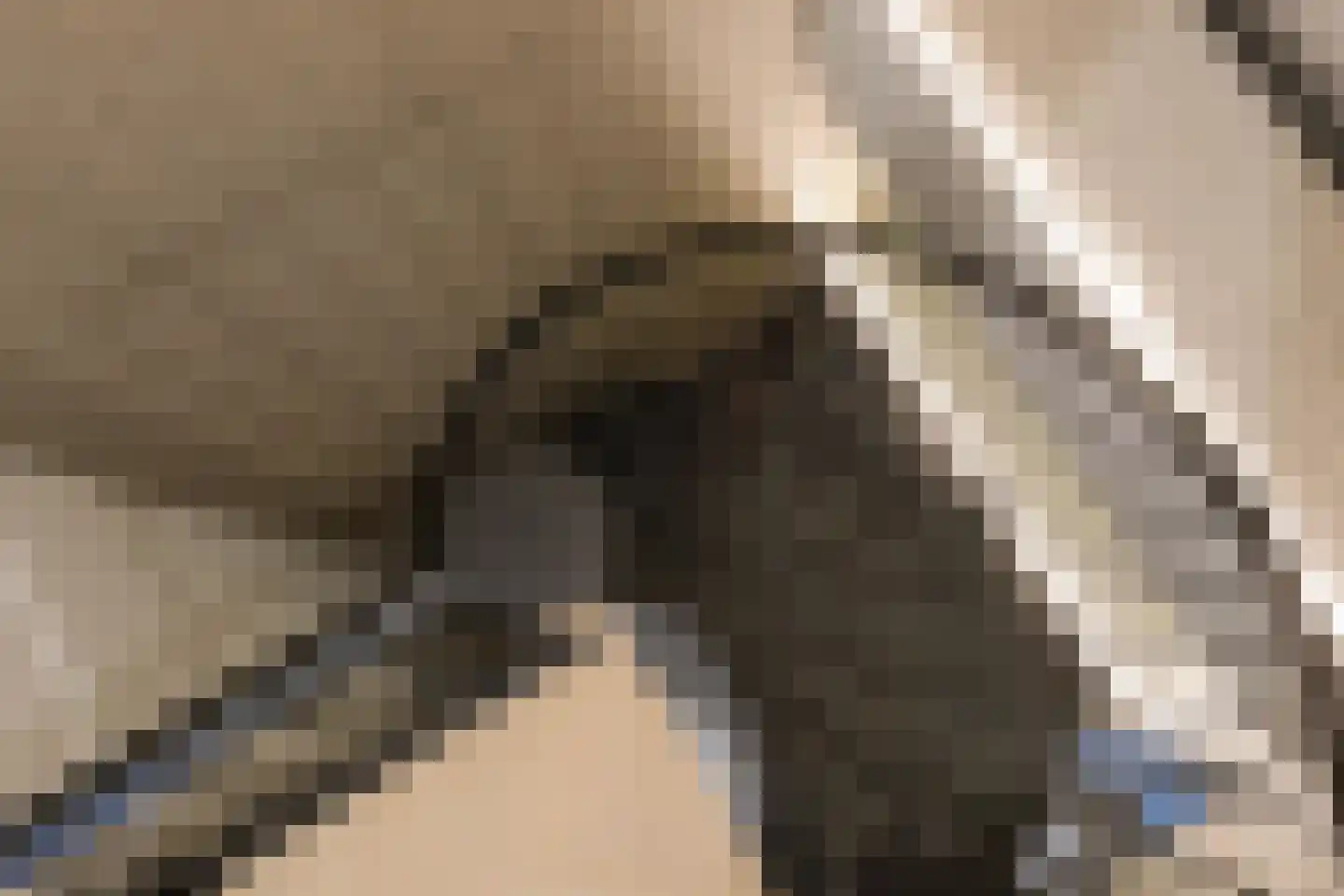 Het Baken 6 Almelo thumbnail 17