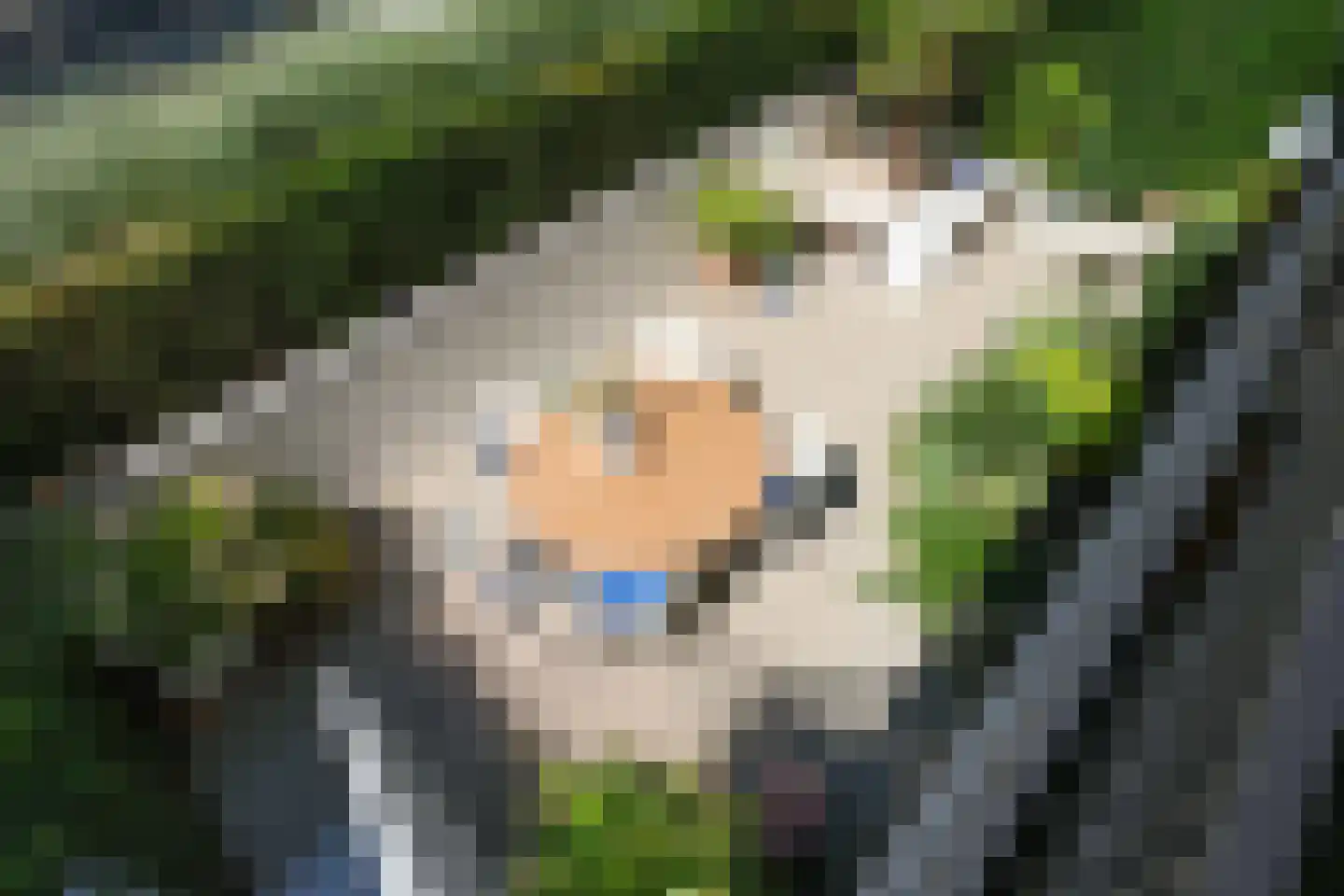 Het Baken 6 Almelo thumbnail 26