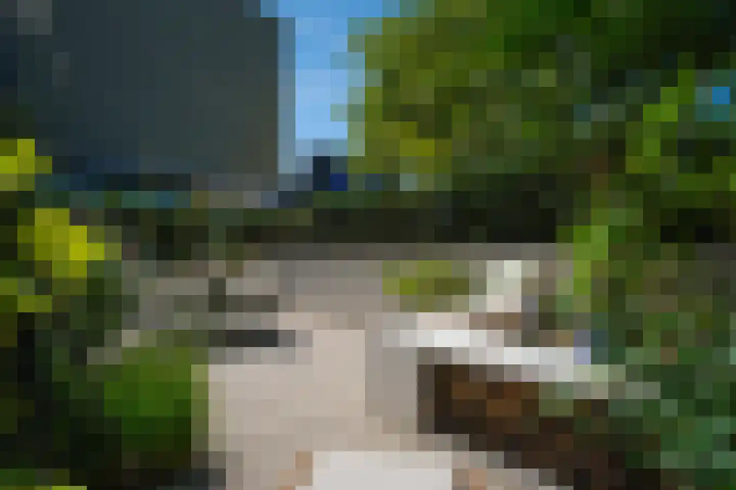 Het Baken 6 Almelo thumbnail 30