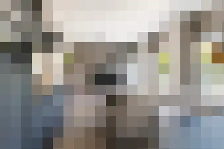 Het Baken 78 Almelo thumbnail 18