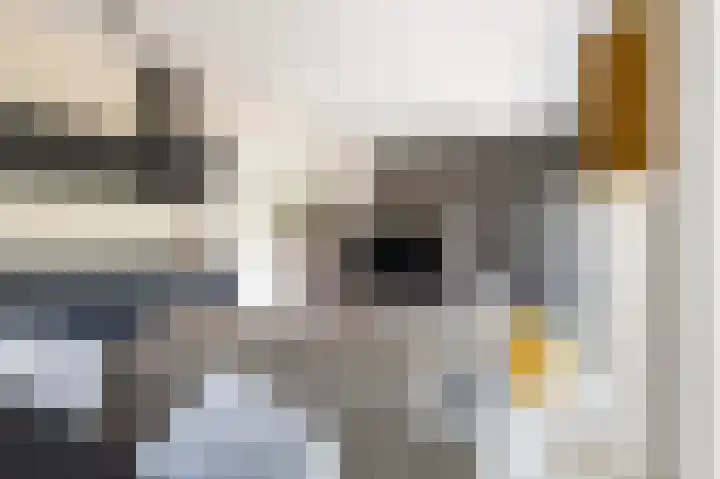 Het Baken 78 Almelo thumbnail 4