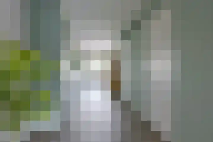 Het Baken 78 Almelo thumbnail 5