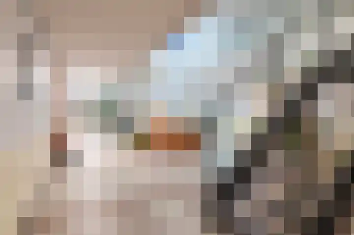 Het Baken 78 Almelo thumbnail 8