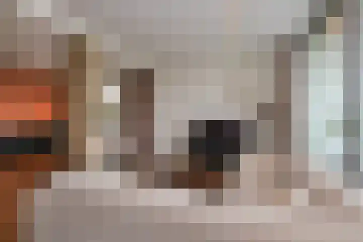 Het Baken 82 Almelo thumbnail 13
