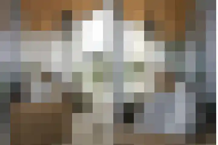 Het Baken 82 Almelo thumbnail 27