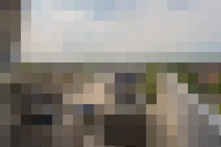 Het Baken 82 Almelo thumbnail 29