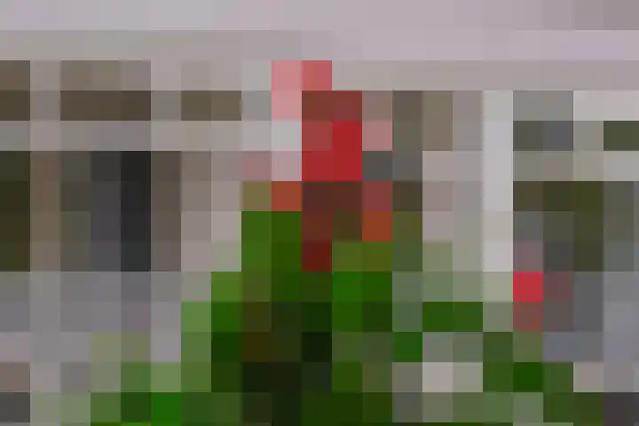 Het Baken 82 Almelo thumbnail 40