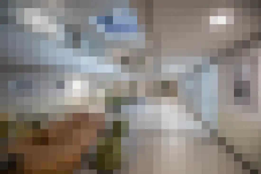 Het Baken 86 Almelo thumbnail 6