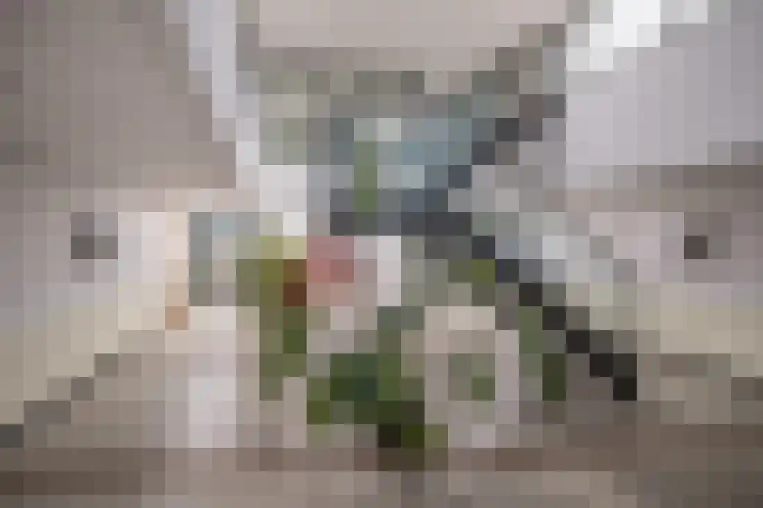 Het Baken 86 Almelo thumbnail 7