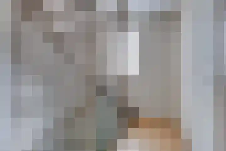 Het Bakhuis 1 Biddinghuizen thumbnail 19
