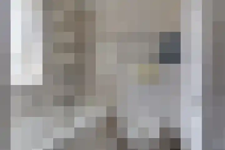 Het Bakhuis 1 Biddinghuizen thumbnail 30