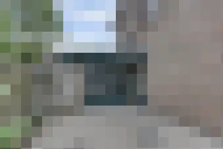 Het Bakhuis 1 Biddinghuizen thumbnail 39