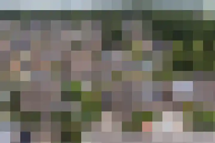 Het Bakhuis 1 Biddinghuizen thumbnail 43