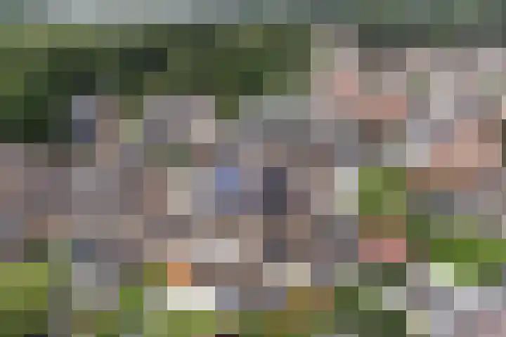Het Bakhuis 1 Biddinghuizen thumbnail 45