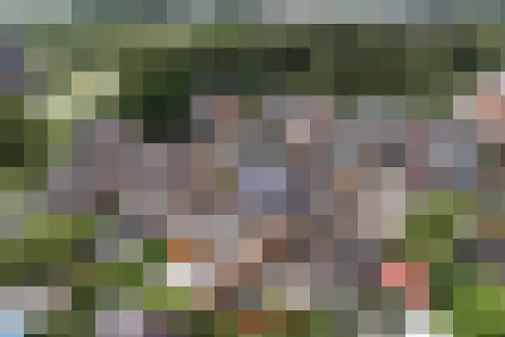 Het Bakhuis 1 Biddinghuizen thumbnail 46