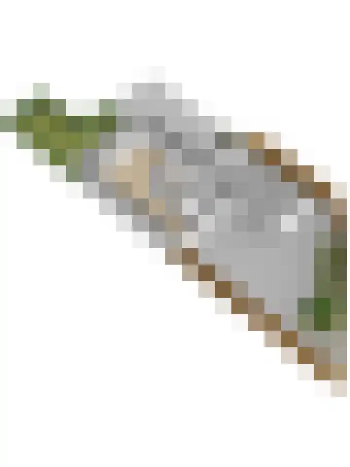 Het Bakhuis 1 Biddinghuizen thumbnail 51