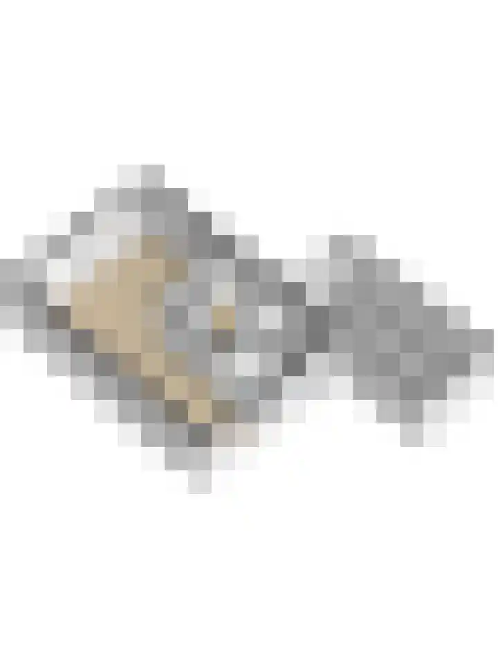 Het Bakhuis 1 Biddinghuizen thumbnail 52