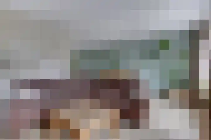 Het Bakhuis 1 Biddinghuizen thumbnail 9