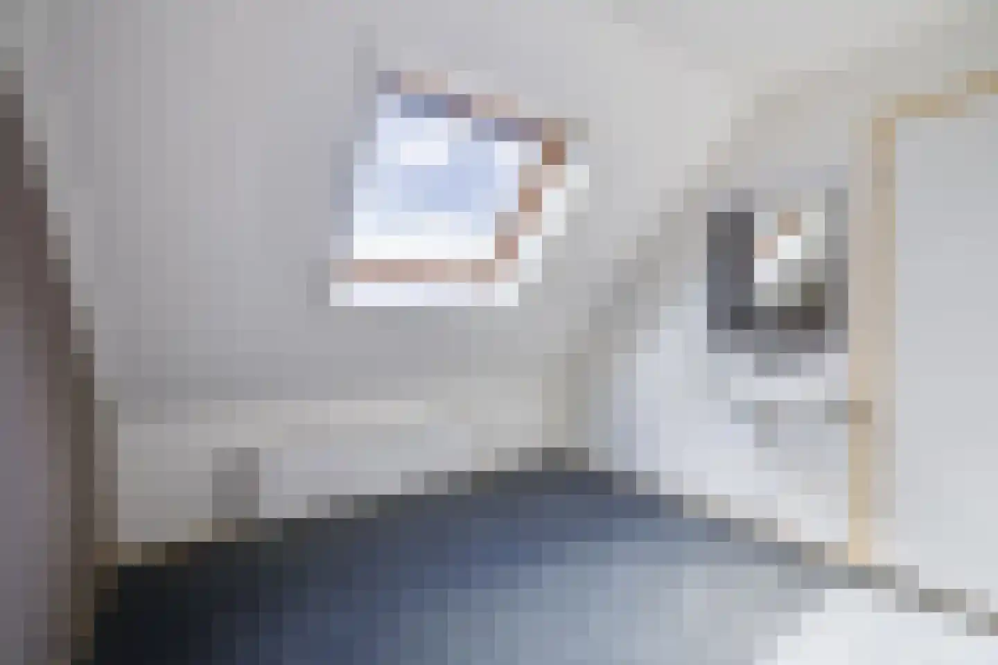 Het Bakhuis 17 Apeldoorn thumbnail 27