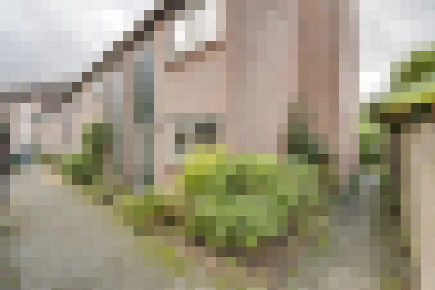 Het Bakhuis 17 Apeldoorn thumbnail 49