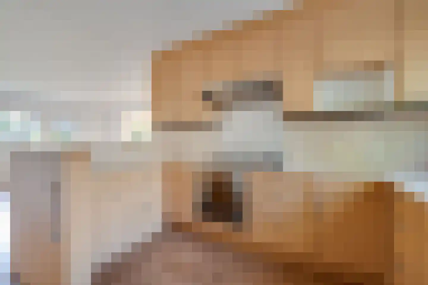 Het Bakhuis 17 Apeldoorn thumbnail 7