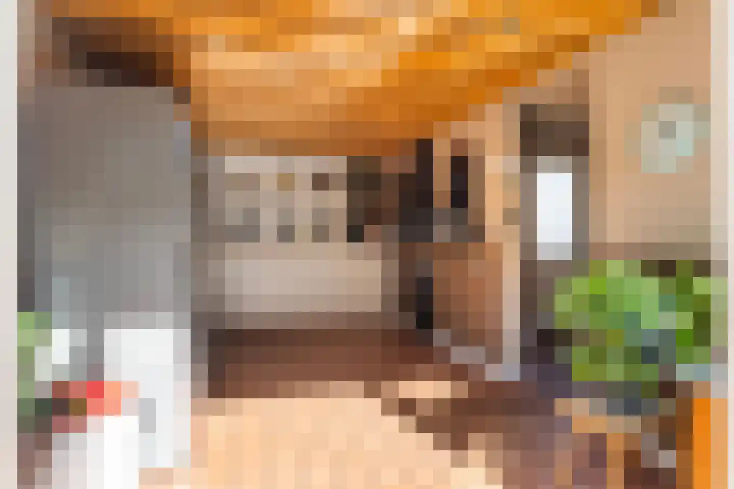 Het Bakhuis 22 Apeldoorn thumbnail 13