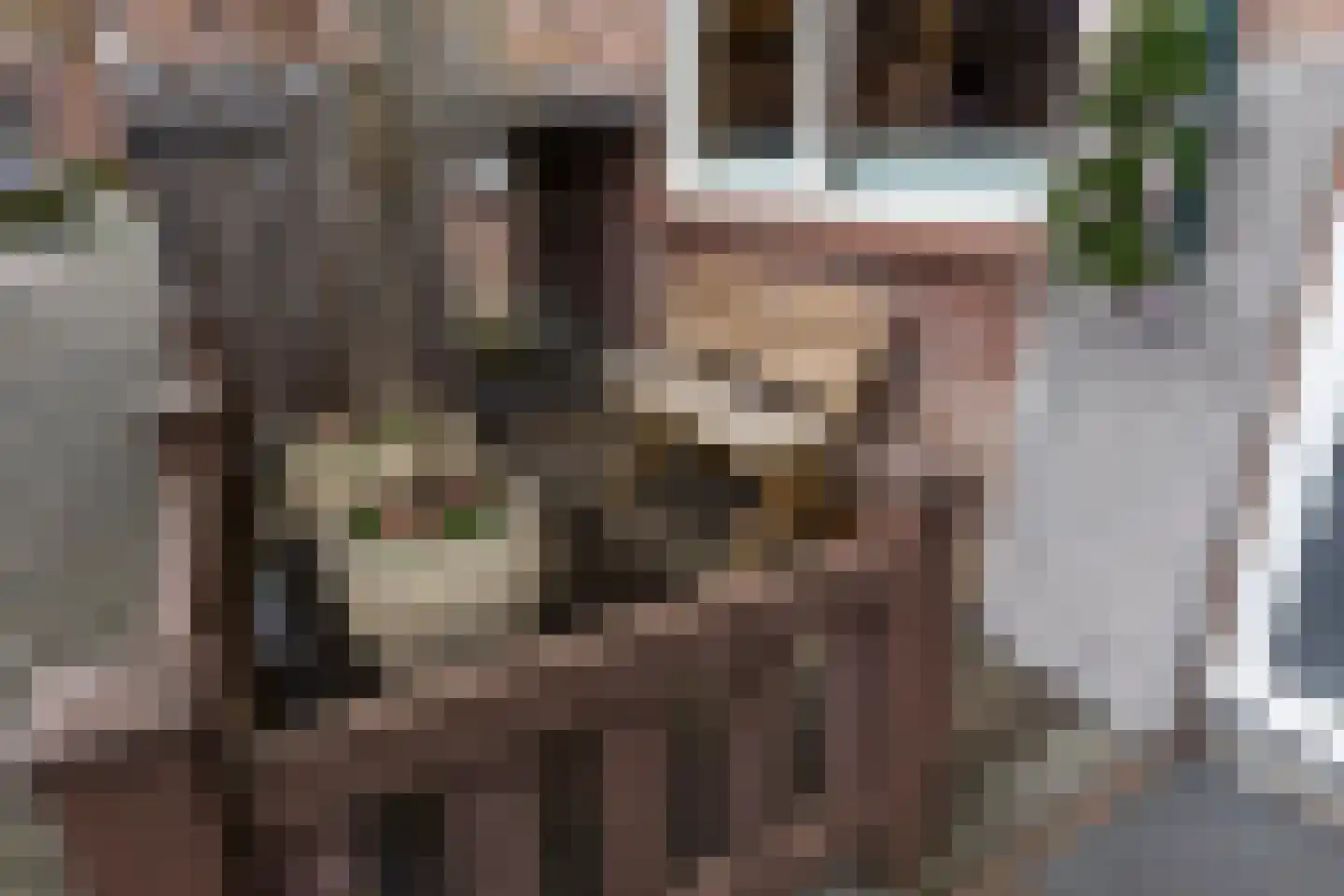 Het Bakhuis 22 Apeldoorn thumbnail 16