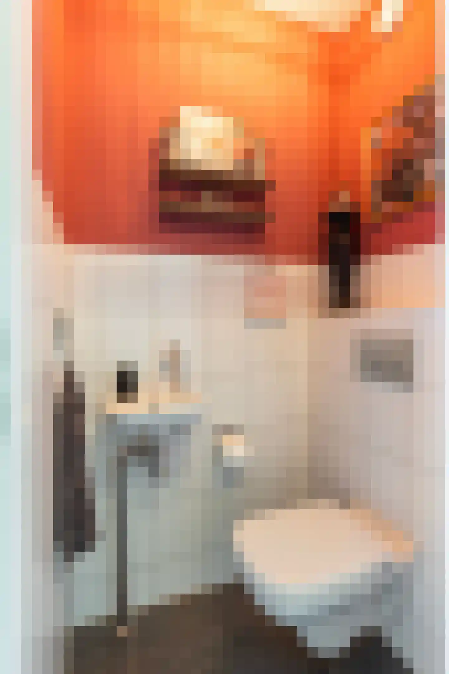 Het Bakhuis 22 Apeldoorn thumbnail 18