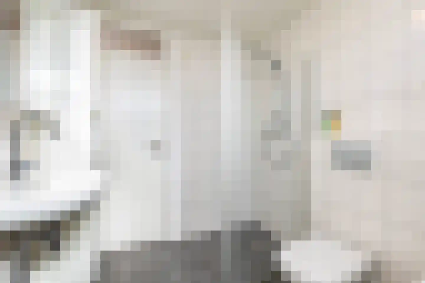 Het Bakhuis 22 Apeldoorn thumbnail 25