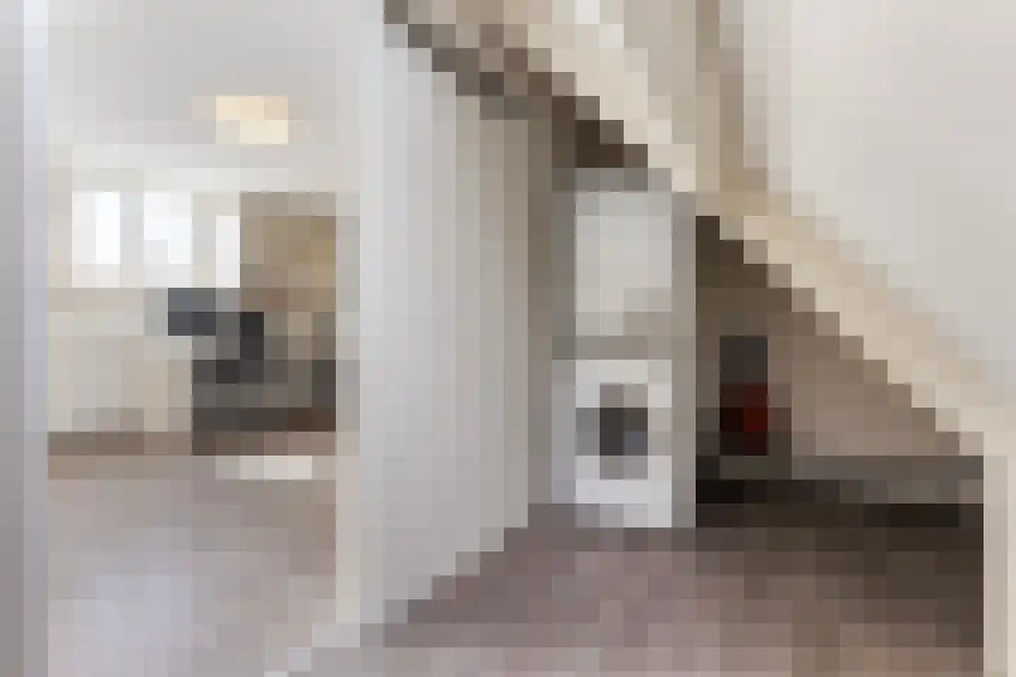 Het Bakhuis 22 Apeldoorn thumbnail 27
