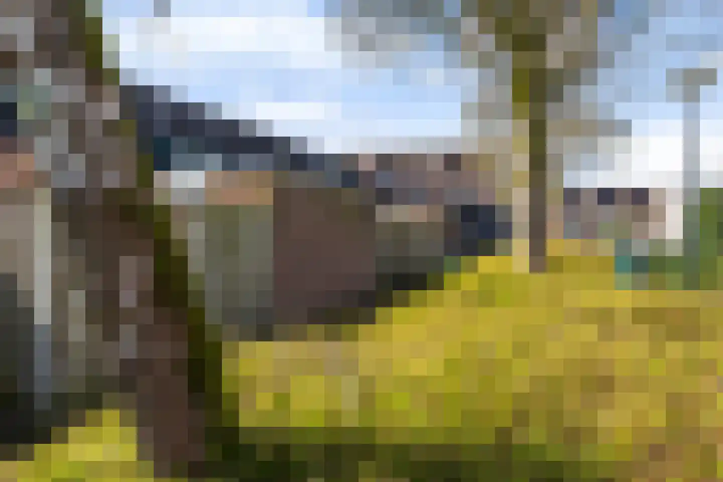 Het Bakhuis 22 Apeldoorn thumbnail 32