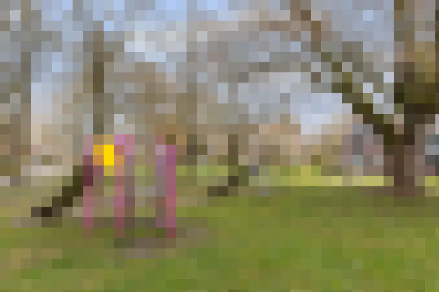 Het Bakhuis 22 Apeldoorn thumbnail 33