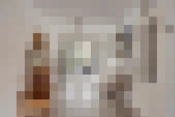 Het Bakhuis 52 Apeldoorn thumbnail 10