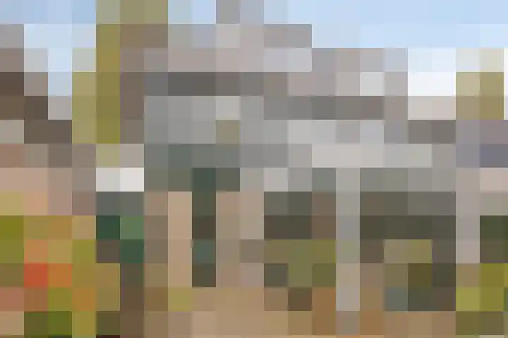 Het Bakhuis 52 Apeldoorn thumbnail 12
