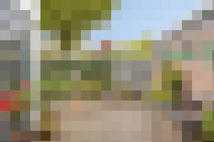 Het Bakhuis 52 Apeldoorn thumbnail 14
