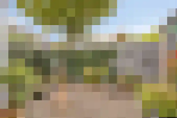 Het Bakhuis 52 Apeldoorn thumbnail 15