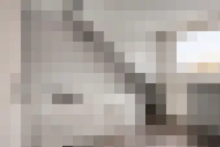 Het Bakhuis 52 Apeldoorn thumbnail 27