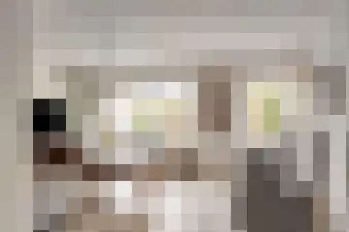 Het Bakhuis 52 Apeldoorn thumbnail 6