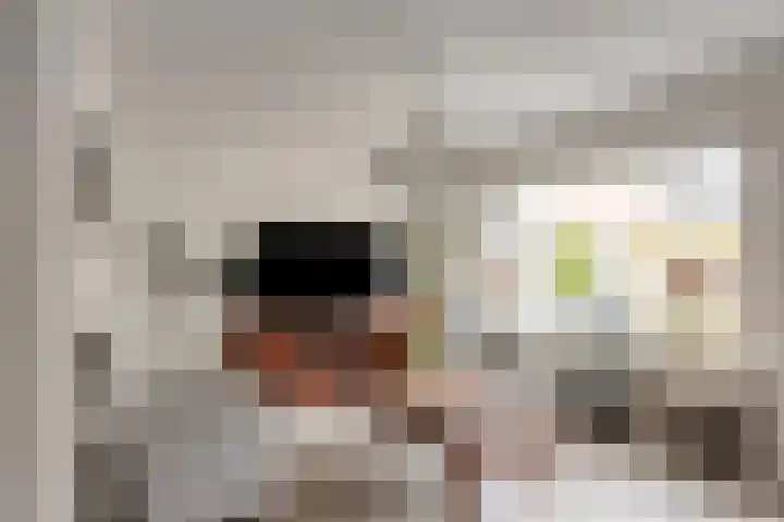 Het Bakhuis 52 Apeldoorn thumbnail 7
