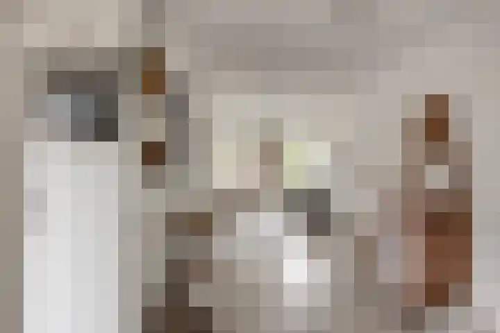 Het Bakhuis 52 Apeldoorn thumbnail 8